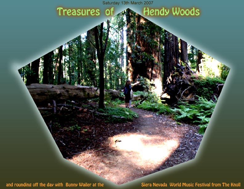 06_23_07_Redwood_Excursion